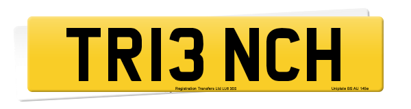 Registration number TR13 NCH